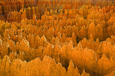 Hoodoos in Golden Light, Bryce Canyon National Park, UT